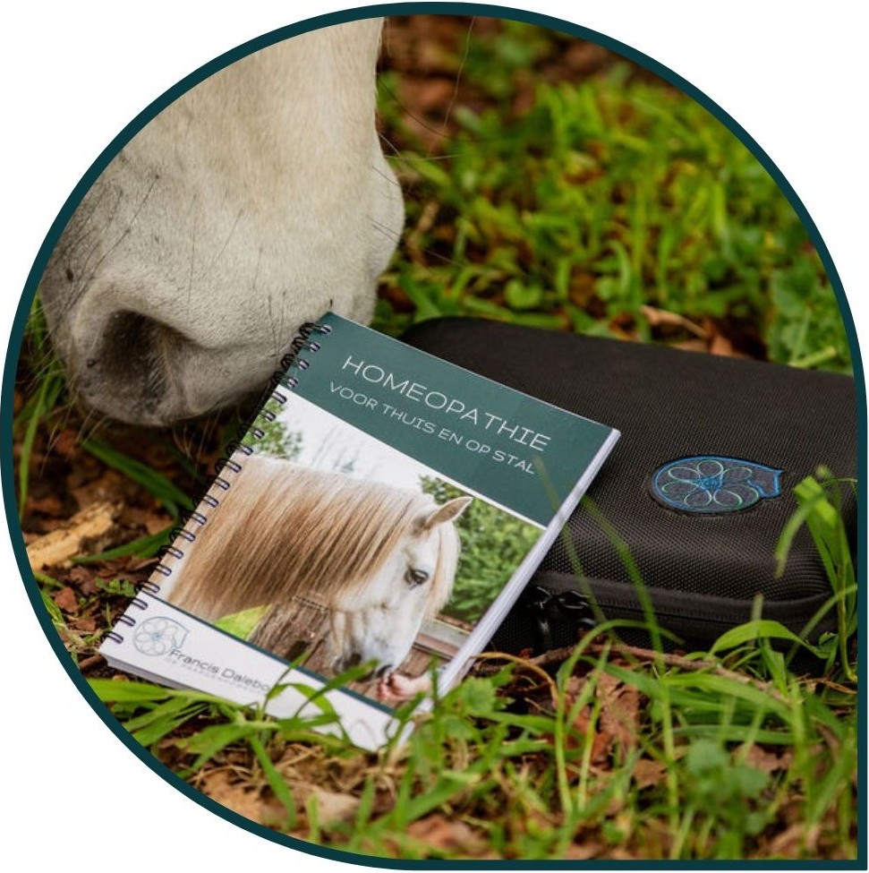 Cursus Homeopathie voor thuis en op stal