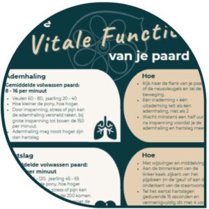 Factsheet Vitale Functies
